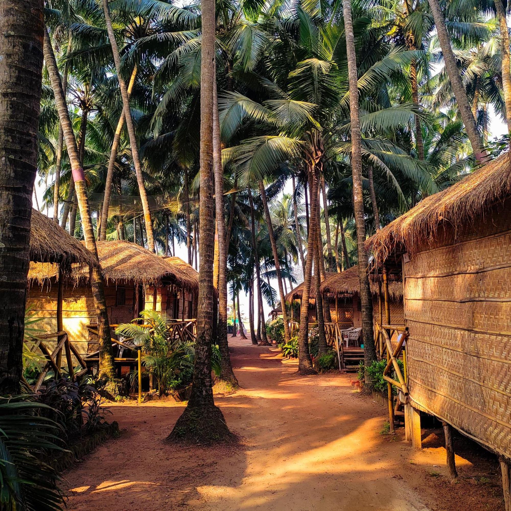 Guest house Dunes Village Mandrem