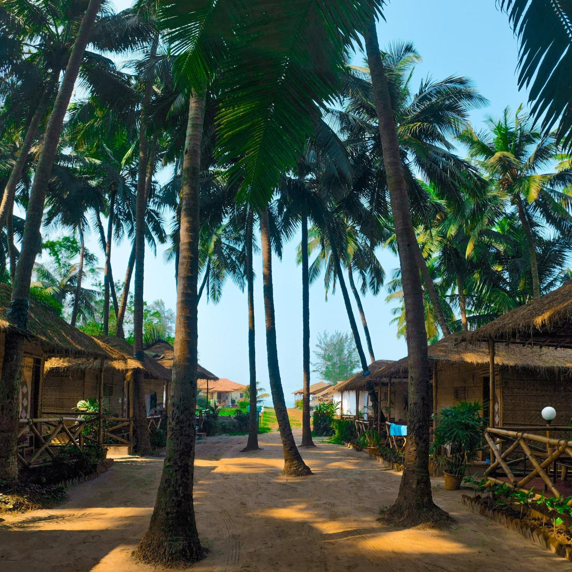 Dunes Village Mandrem